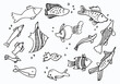 Doodle fish on a white backround.animals doodle under the sea for coloring pages.