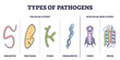 Types of pathogens, cellular, and non living virus organisms outline diagram. Collection with bacteria, parasites, fungi, prion or protozoa elements as risk for human immune system vector illustration
