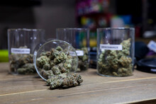 Assorted Dry Marijuana Flower Buds In Jars On Table