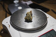 © ADDICTIVE STOCK - Scales with dried hemp flower buds in workspace