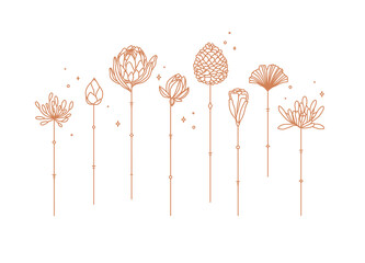 Sticker - Flowers long stem drawing in art deco style