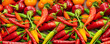 background of hot peppers, colorful peppers red and orange