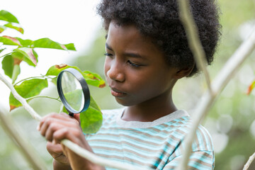 Wall Mural - Happy African American boy looking at leaves through magnifying glass. Education, field trips, researcher and discovery concept