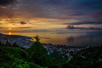 Wall Mural - Tea plantation in the evening sun. Rize city in Turkey	