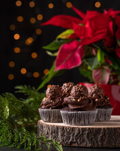 Christmas Sweets And Desserts, Chocolate Cupcakes, Decoration With Poinsettia And Fir Branches.