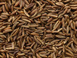 © Mara Zemgaliete - cumin seeds background macro