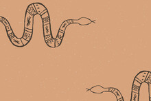 Wild West Snake Background Vector Hand Drawn In Muted Brown