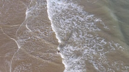 Poster - Drone rotating around person swimming in ocean