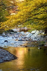 Wall Mural - Oashi valley, Kanuma, Tochigi, in autumn