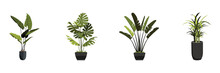 Set Of Potted Plant Illustration Collection Vector