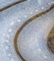 Sticker - Close-up of ice formations on frozen puddle (cat-ice). Pieces of wood and moss frozen in the ice