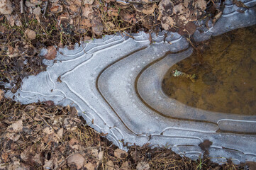 Sticker - Top view to ice formations on frozen puddle (cat-ice). Pieces of wood and moss frozen in the ice
