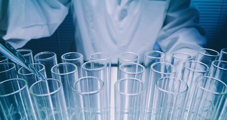 Wall Mural - scientists experiment with antibiotics in vitro.