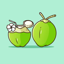 Coconut Refreshing Summer Drink,Green Shell Decorated
 With White Flower,Suitable For Summer, Vector Design And Isolated Backgrounds.