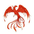 Elegant flying phoenix vector illustration
