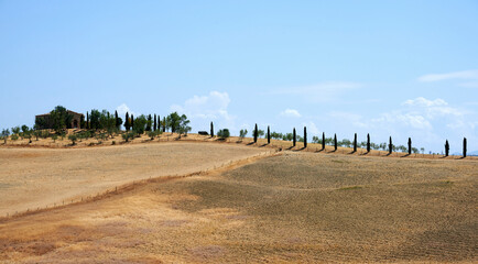 Wall Mural - val d'orcia