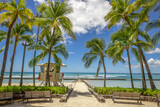 Fototapeta Sypialnia - Waikiki beach palm trees in Hawaii