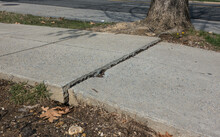 Uneven Sidewalk And Crack Caused By Growing Tree Roots, An Urban Issue Causing People Tripping And Injuring Selves.
