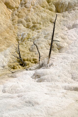 Poster - thermal springs and limestone formations at mammoth hot springs in Wyoming in America