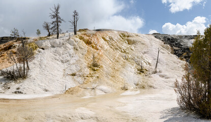 Wall Mural - thermal springs and limestone formations at mammoth hot springs in Wyoming in America