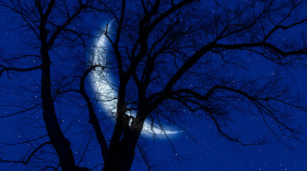 Aufkleber - Silhouette of lone tree with crescent moon at night