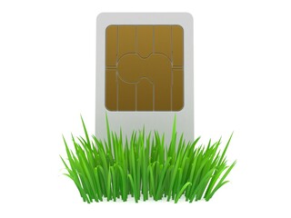 Poster - SIM card on grass