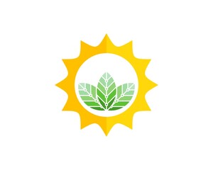 Poster - Shinning sun with three nature leaf and circuit technology inside