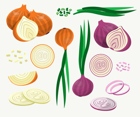 Fresh yellow and red onions vector illustrations set. Onions cut into rings and slices, whole ripe vegetables isolated on white background. Food, agriculture, nature concept