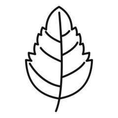 Poster - Aromatic basil leaf icon outline vector. Herb spice