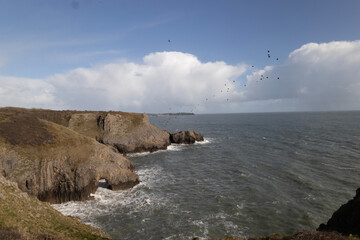 Wall Mural - cliffs of moher