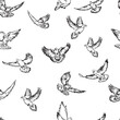 image of flying doves, pattern for design and decoration, black and white linear image