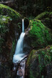 gertelbach bwaterfalls of the black forest (Schwarzwald), Baden-Wuerttemberg, Germany