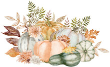 Watercolor Pumpkins And Asters. Thanksgiving Arrangement. Harvest Concept. Hand-drawn Illustration Isolated On The White Background.