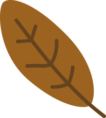 Autumn fall brown leaf leaves illustration on the white isolated background.