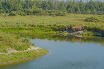 Wall Mural - The headwaters of the Mississippi River in Cass County, Minnesota