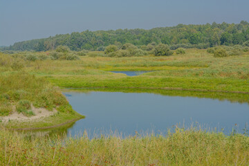 Wall Mural - The headwaters of the Mississippi River in Cass County, Minnesota
