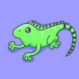 Fototapeta Dinusie - iguana vector illustration, cute reptile.