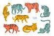 Set with tigers in different poses. Hand drawn vector illustration
