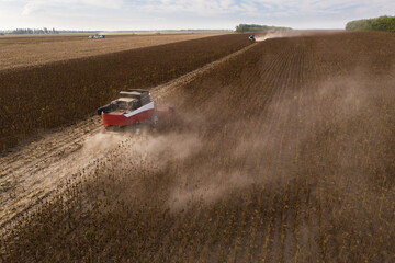 Aufkleber - Combine harvesters harvesting sunflower field at sunset. Aerial drone point of view.
