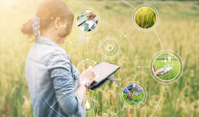 Various photos of Agriculture farmers using tablet device technology checking on plants and rice field data computer analysis on plant growth visual icon, cultivating nature reserving environment.