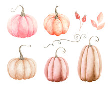 Fall Pumpkins With Leaves Isolated On White Background. Watercolor Illustration.