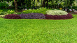 Green grass smooth lawn with bush, shrubs, trees on background,