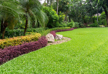 Green grass smooth lawn with bush, shrubs, trees on background,