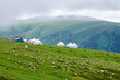 The flock of sheep and mongolia yurts on the summer meadows  in Nalati scenic spot, Xinjiang Uygur Autonomous Region, China.