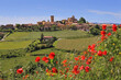 Beaujolais, the village Oingt and red poppies in spring. Rhone department, Franch landscape