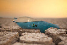 Plastic Bottle With Water And Fish On Dry Cracked Earth. Climate Change And Global Warming Concept.
