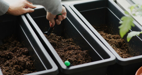 Canvas Print - Prepare soil for planting at home garden