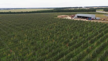Poster - Aerial view of the farm with apple orchard