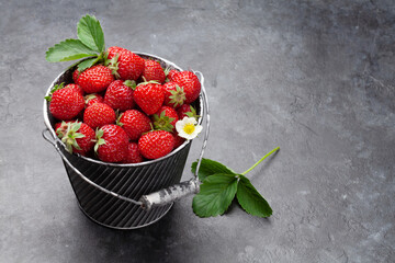 Poster - Strawberry in bucket