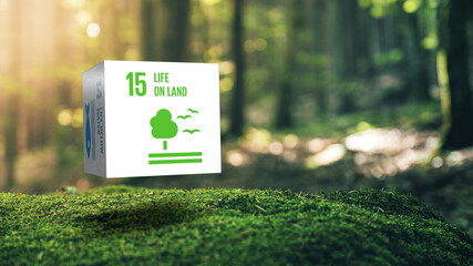 sustainable development 15 life on land in moss forrest background 17 global goals concept cube desi